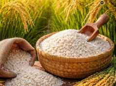 Padi Adan Ba’kelalan diaku nyadi GI,dDitegapka nyadi pesaka premium Lun Bawang