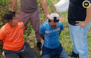Lelaki peranak menua luar, indu peranak menua tu ditan ketegal dipelaba ngembuan dadah