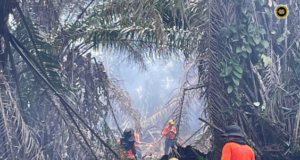 Penusah babas angus ba Jalai Matu–Jambatan Igan udah ditagang