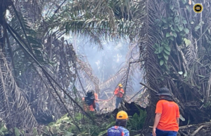 Penusah babas angus ba Jalai Matu–Jambatan Igan udah ditagang