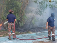 Penusah babas angus ba kandang Padang Golf Pulau Melayu mujur dirara