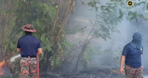 Penusah babas angus ba kandang Padang Golf Pulau Melayu mujur dirara