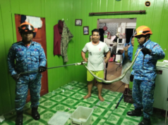 Ular sawa ngasuh tegepang maya nyendiaka pemakai tumu pagi