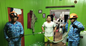 Ular sawa ngasuh tegepang maya nyendiaka pemakai tumu pagi