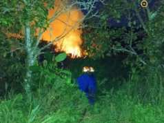 Penusah kebun angus ba Kampung Nangar Besar mujur dirara APM Daro