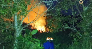 Penusah kebun angus ba Kampung Nangar Besar mujur dirara APM Daro