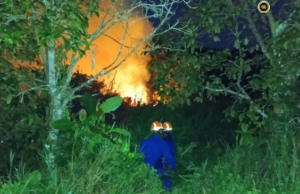 Penusah kebun angus ba Kampung Nangar Besar mujur dirara APM Daro