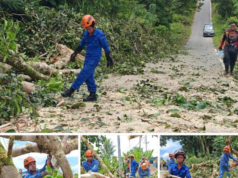 Kayu tumbang ba Kampung Sebobok, Bau udah diputar enggau lengkas