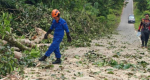 Kayu tumbang ba Kampung Sebobok, Bau udah diputar enggau lengkas