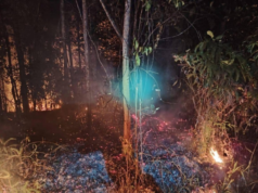 Penusah babas angus di Jalai Kemuyang mujur dirara