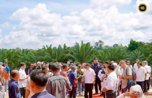 Perintah Sarawak Bejalaika Projek Jalai Ulu Teru, Meri Penguntung Ngagai Semak 4,000 Iku Peranak Menua