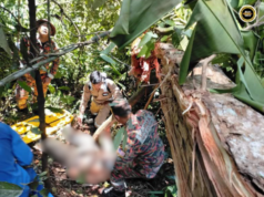 Lelaki ditinggang pun kayu di Kampung Murud mujur diselamatka bomba