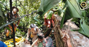Lelaki ditinggang pun kayu di Kampung Murud mujur diselamatka bomba