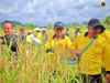Ngerupan ngetau padi ngenegapka semangat begulai sejalai ba raban RELA Saratok