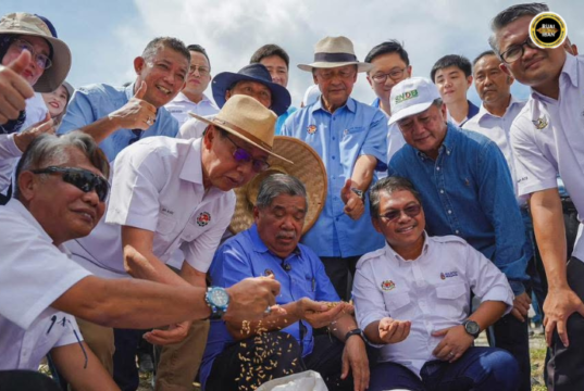 Tanjung Purun mansang nyadi hab beras komersial, negapka pengelikun pemakai menua