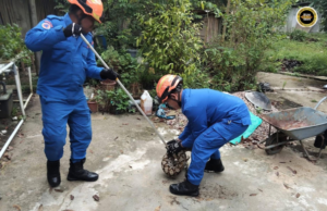 Jaran nelan manuk ngujungka ditangkap APM