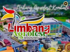 Agrofest Limbang 2026 mantaika inovasyen betanam betupi nuju pengelikun pemakai