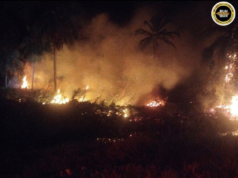 Penusah babas angus ba Tanjong Jol mujur dirara