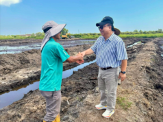 Penemuai ngabas plot padi nyereminka pengeransing perintah ngemansangka pengawa betanam betupi di Sarawak