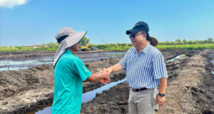 Penemuai ngabas plot padi nyereminka pengeransing perintah ngemansangka pengawa betanam betupi di Sarawak