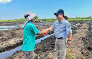 Penemuai ngabas plot padi nyereminka pengeransing perintah ngemansangka pengawa betanam betupi di Sarawak