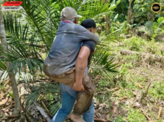 Siku Orang Tuai 72 Taun Ditemu Selamat Pengudah Diripot Lenyau Ba Kampung Sungai Kedup