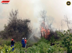 APM enggau Bomba chakah madamka penusah angus tanah kerapa ba Saratok