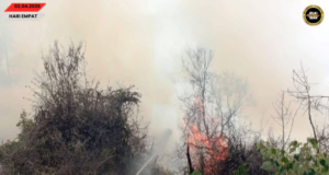 APM enggau Bomba chakah madamka penusah angus tanah kerapa ba Saratok