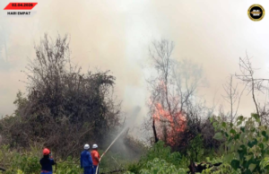 APM enggau Bomba chakah madamka penusah angus tanah kerapa ba Saratok