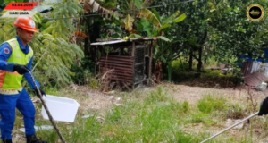 APM Sebuyau mujur nangkap ular sawa ba Kampung Arus Melayu