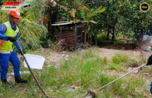 APM Sebuyau mujur nangkap ular sawa ba Kampung Arus Melayu