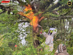 APM Ngemunaska Sarang Manyi ba Kandang ba Opis Pelajar Pelilih Menua