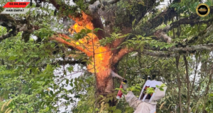 APM Ngemunaska Sarang Manyi ba Kandang ba Opis Pelajar Pelilih Menua