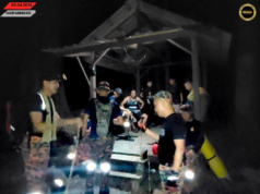 BBP Miri Sentral nyelamatka peniki bukit, tudah mujur dibai enggau likun