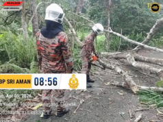 Pun kayu tumbang ngempang jalai jalai di Kedang, Bomba bejalaika operasyen enggau lengkas