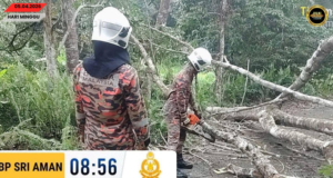 Pun kayu tumbang ngempang jalai jalai di Kedang, Bomba bejalaika operasyen enggau lengkas