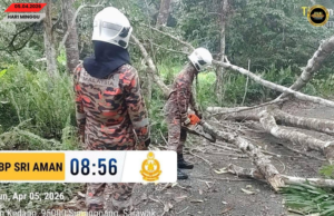 Pun kayu tumbang ngempang jalai jalai di Kedang, Bomba bejalaika operasyen enggau lengkas