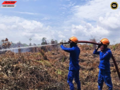 Penusah angus tanah kerapa ke nyadi ba Kampung Saai udah mujur dirara