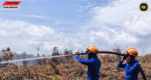 Penusah angus tanah kerapa ke nyadi ba Kampung Saai udah mujur dirara