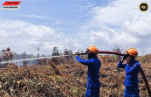 Penusah angus tanah kerapa ke nyadi ba Kampung Saai udah mujur dirara