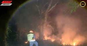 Penusah babas angus ba kandang pendam di Kuala Matu mujur dirara