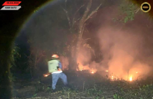 Penusah babas angus ba kandang pendam di Kuala Matu mujur dirara
