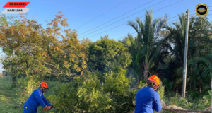 Kayu tumbang ngempang jalai ba Kampung Bakong, Oya Diputar enggau lengkas APM