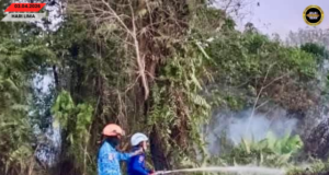 Penusah angus tanah kerapa ba Kampung Kut mujur dirara