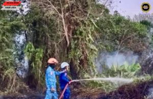 Penusah angus tanah kerapa ba Kampung Kut mujur dirara