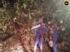 Kayu getah tumbang ngempang jalai rumah panjai udah dikupas APM Betong