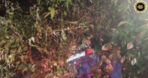 Kayu getah tumbang ngempang jalai rumah panjai udah dikupas APM Betong
