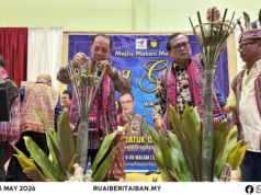 Semak 1,000 iku ngulu Mantar Gawai Dayak PDP Meluan, semengat ‘Segulai Sejalai’ majak ditegapka