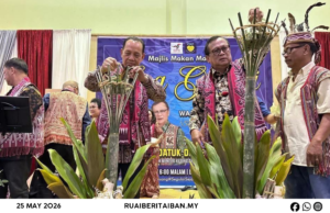 Semak 1,000 iku ngulu Mantar Gawai Dayak PDP Meluan, semengat ‘Segulai Sejalai’ majak ditegapka