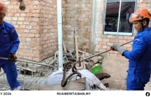Siku ular sawa batik belalai ba tumpuk barang mujur ditangkap
